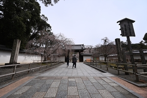 醍醐寺001.JPG