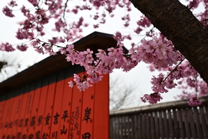 車折神社029.JPG