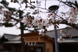 車折神社019.JPG