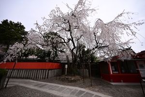 車折神社008.JPG