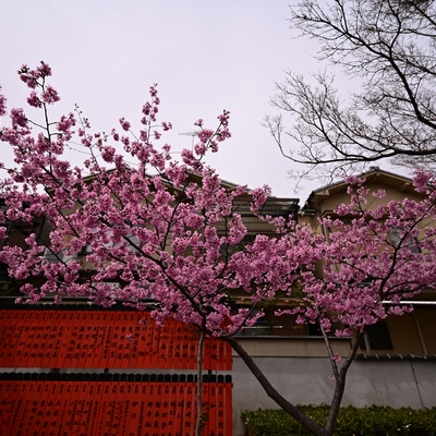 車折神社001.JPG