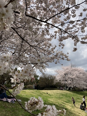 979D29EF-F0C2-4FE9-BECF-1033F02256EF.jpeg