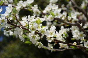 DSC02409.JPG