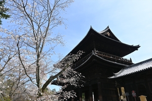 南禅寺003.JPG