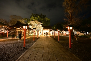 平野神社036.JPG