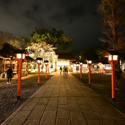 平野神社036.JPG