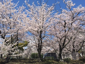 D7641E27-EF05-447B-B355-048964B627D0.jpeg