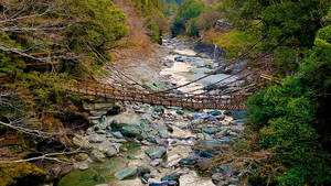 祖谷のかずら橋IMG_20200227_090923-1.jpg