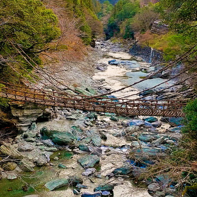 祖谷のかずら橋IMG_20200227_090923-1.jpg