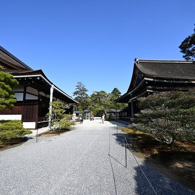 京都御所138.JPG