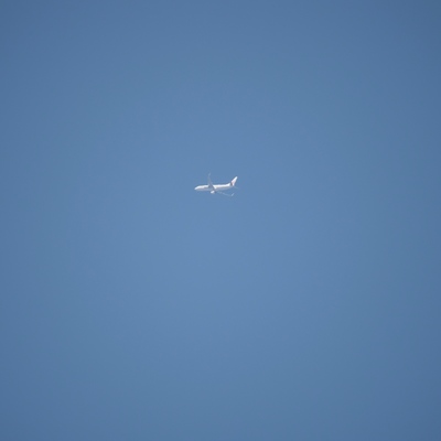 jal.jpg