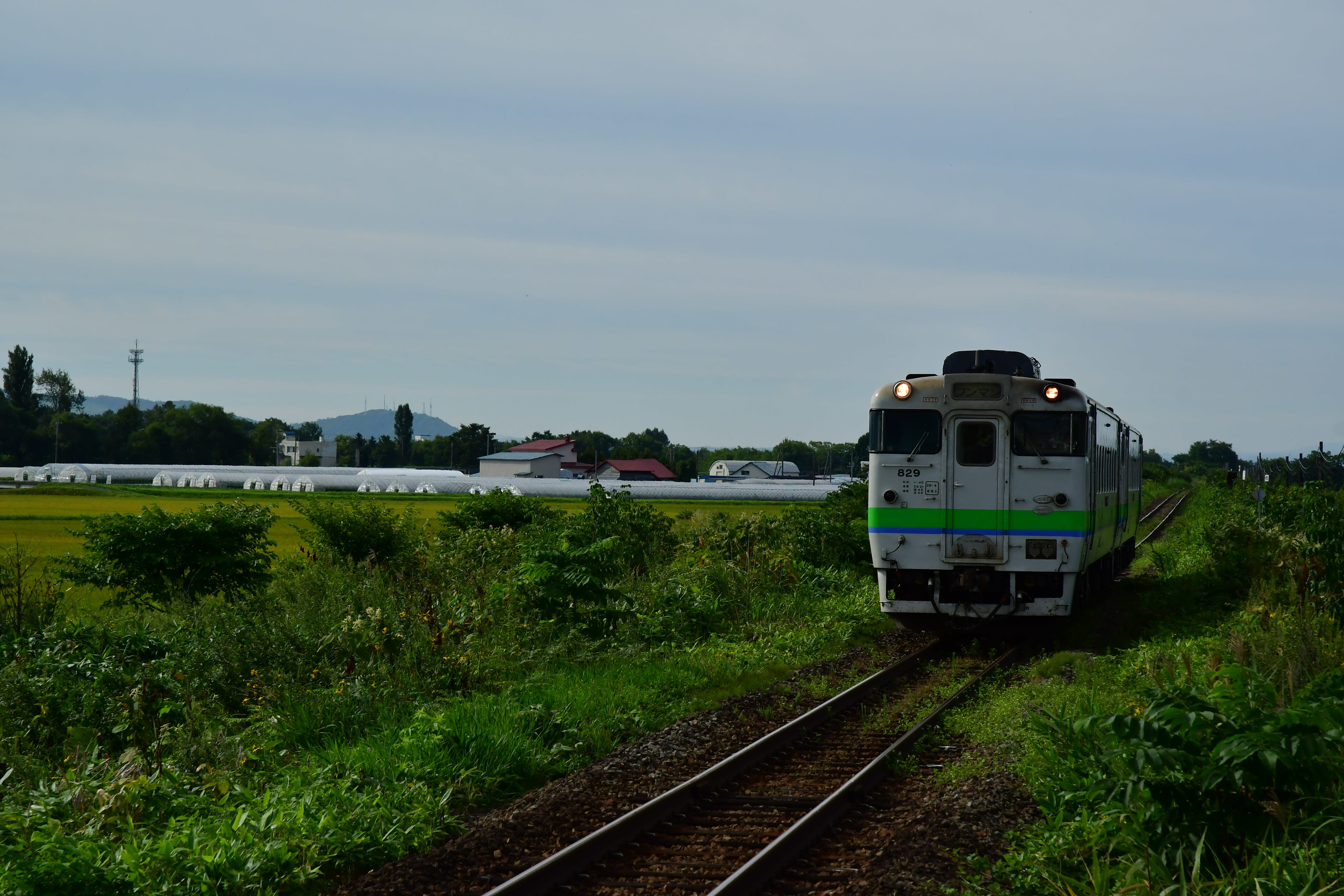 Hokkaido_2020_476.JPG