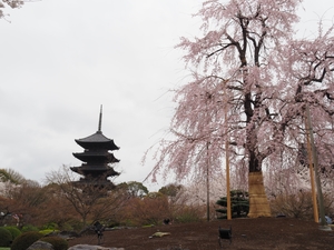 東寺2.JPG