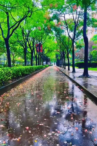 雨の後.png