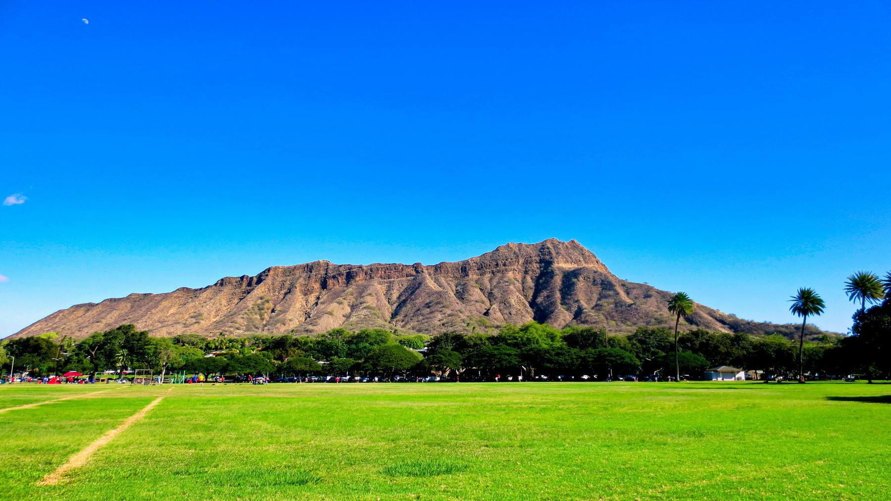 2013_ハワイの旅_Kapiʻolani_Regional_Park.jpg