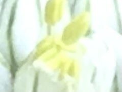 61BADE14-6F3B-436A-B41C-55501D375DEA.jpeg