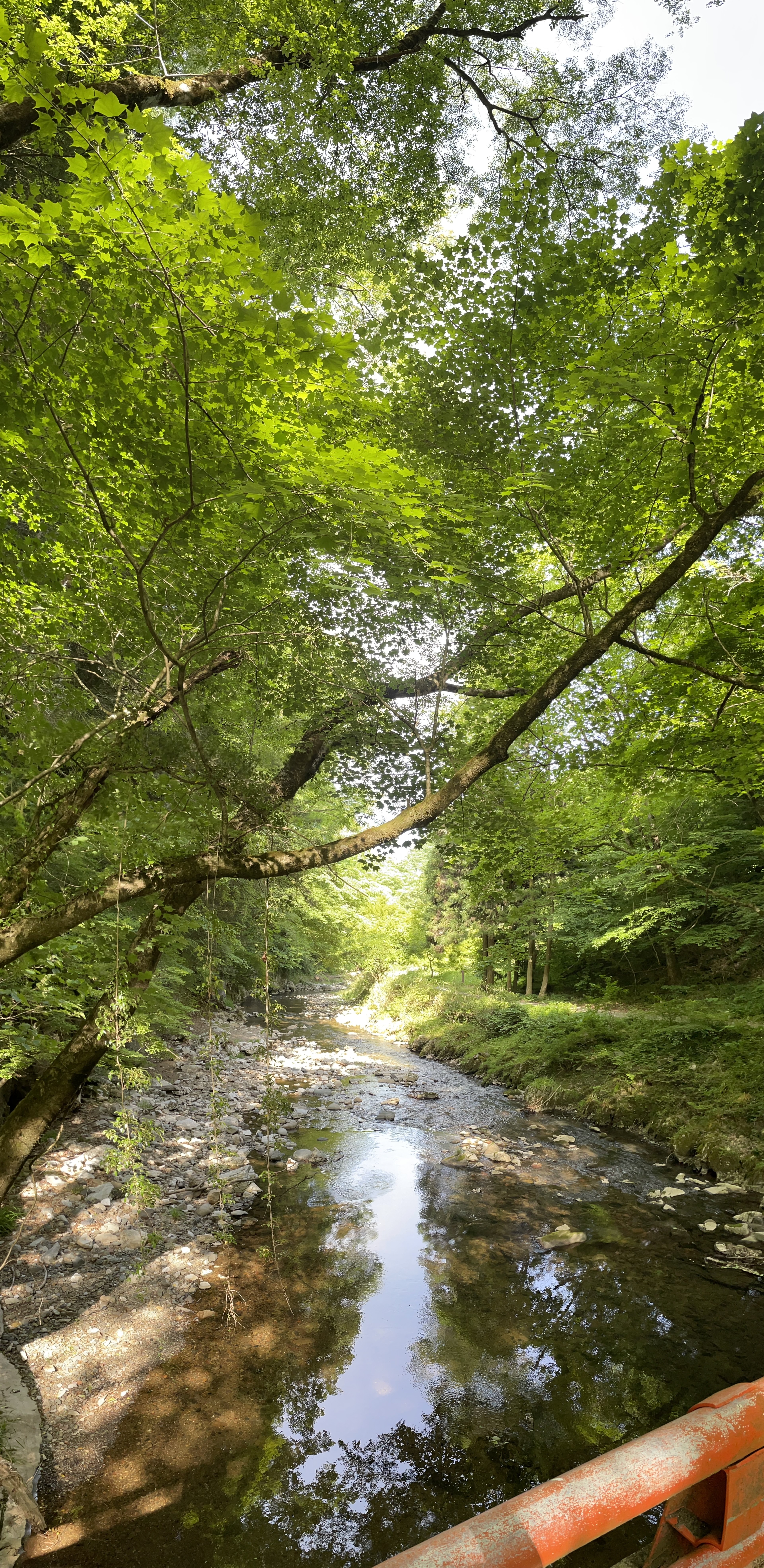 帝釈峡２.JPG