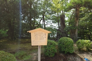 兼六園001.JPG