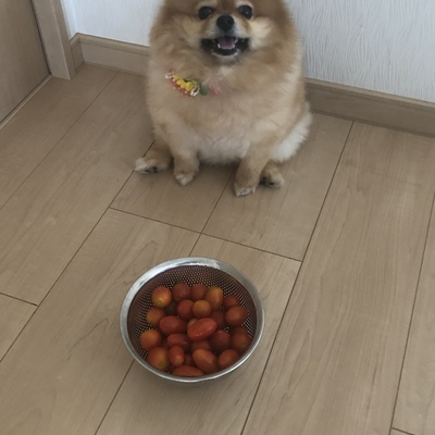 7972FE80-EA0D-4B4D-A29A-F4B3D1D0AE0E.jpeg