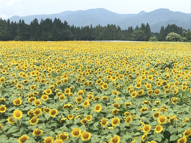 37F73059-F3D5-432E-B00E-57F7F1F99616.jpeg