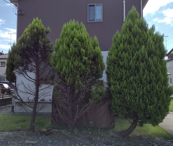 IMG_20220911_091248765_HDR_2.jpg