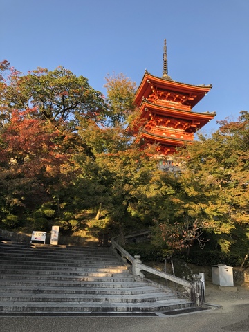 12917B18-7635-4B0D-A39E-88557C509724.jpeg