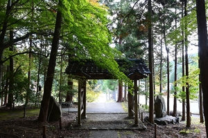 常照皇寺046.JPG