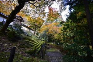 常照皇寺043.JPG