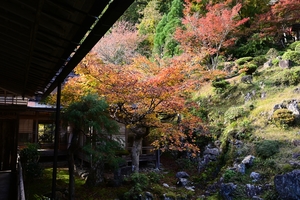 常照皇寺033.JPG