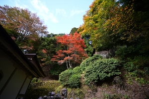 常照皇寺018.JPG