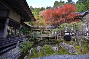 常照皇寺016.JPG