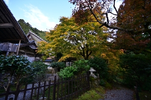 常照皇寺008.JPG