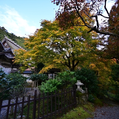 常照皇寺008.JPG