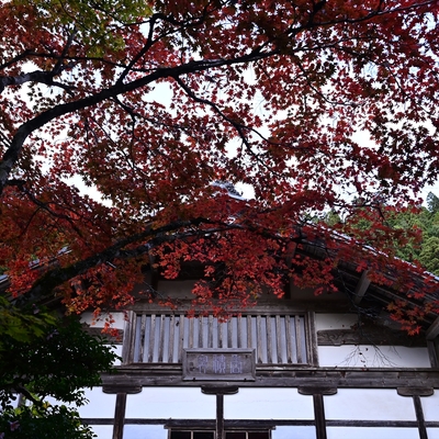 常照皇寺007.JPG