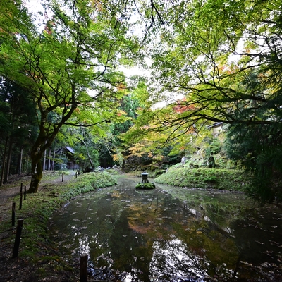 常照皇寺004.JPG