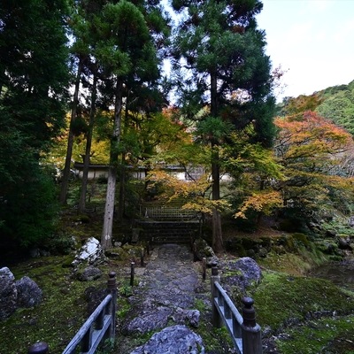 常照皇寺002.JPG