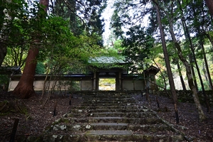 常照皇寺001.JPG