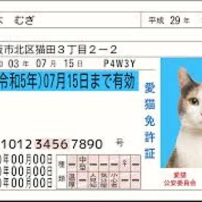 cat-license_omote_s1.jpg