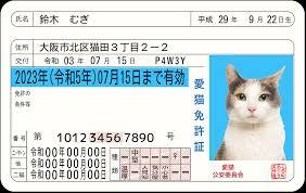 cat-license_omote_s1.jpg