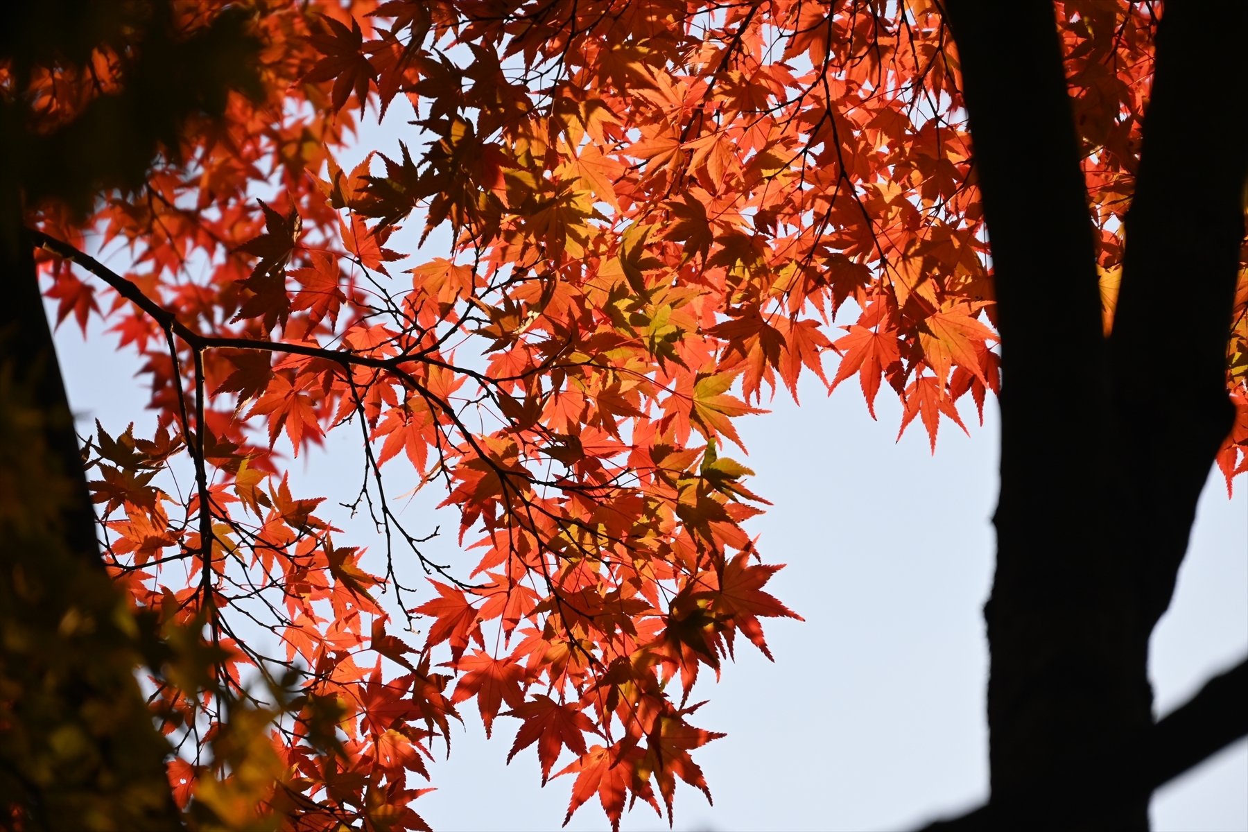 南禅寺085.JPG