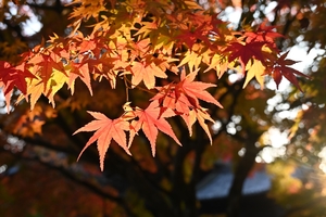 南禅寺082.JPG