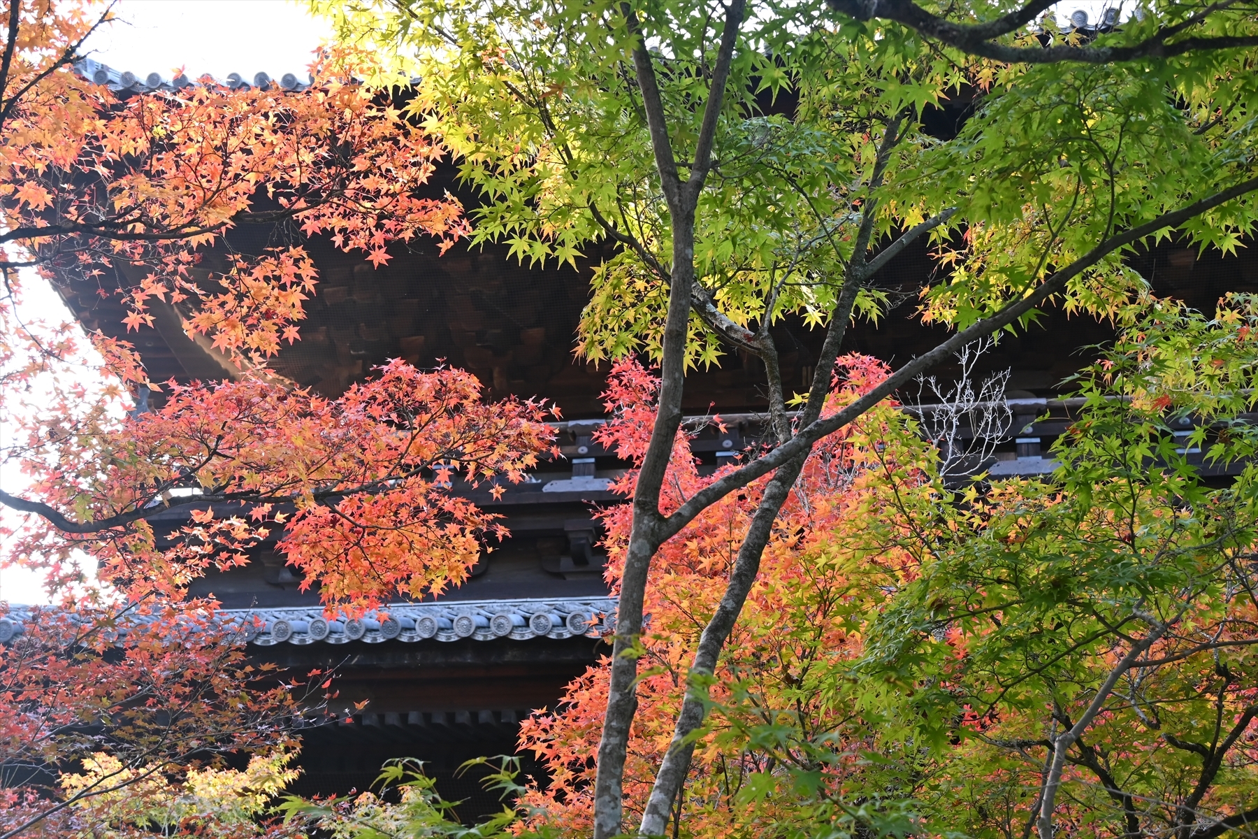 南禅寺080.JPG