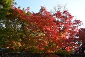 南禅寺057.JPG