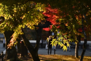 南禅寺053.JPG