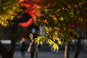 南禅寺052.JPG