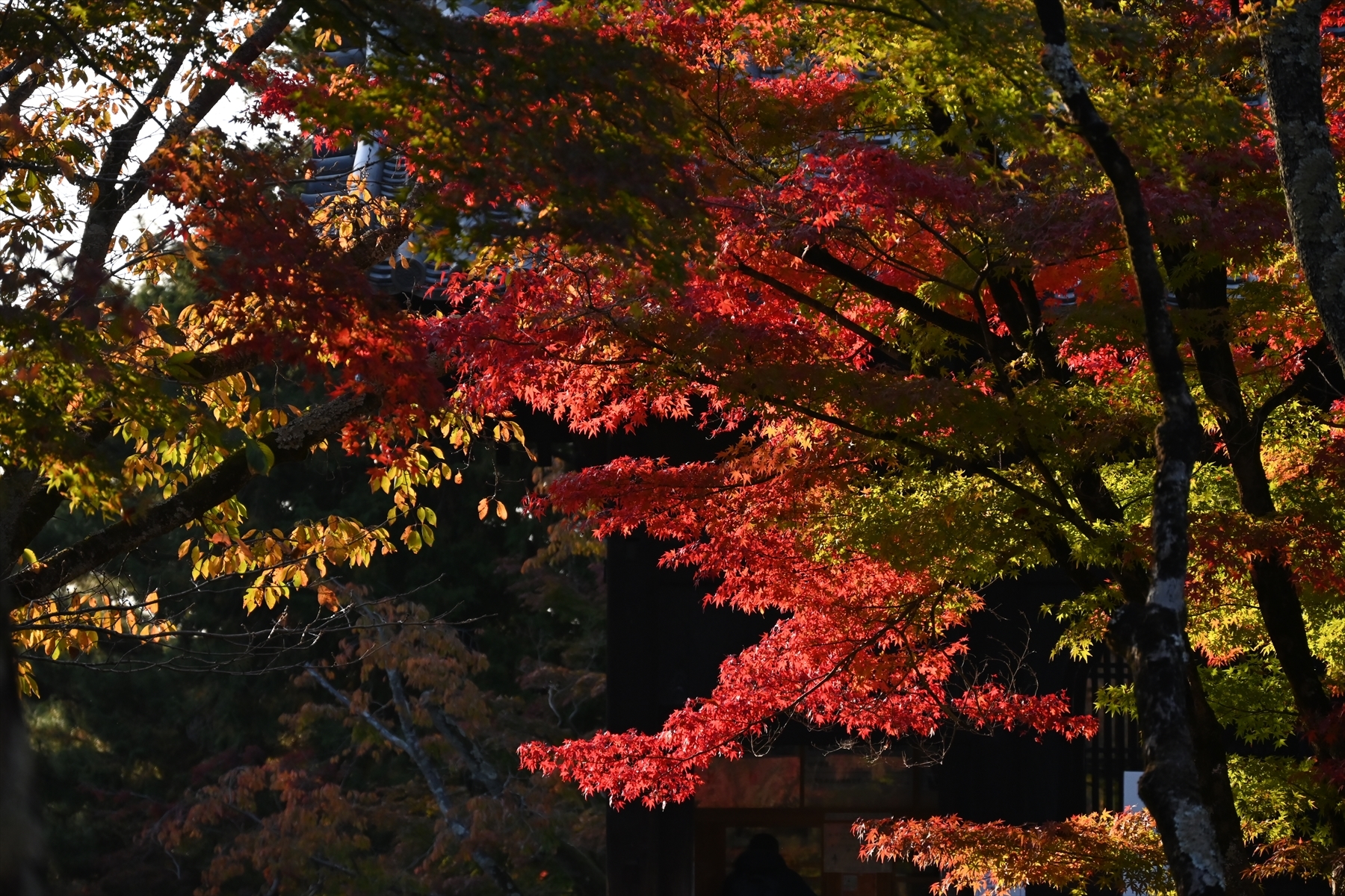 南禅寺050.JPG