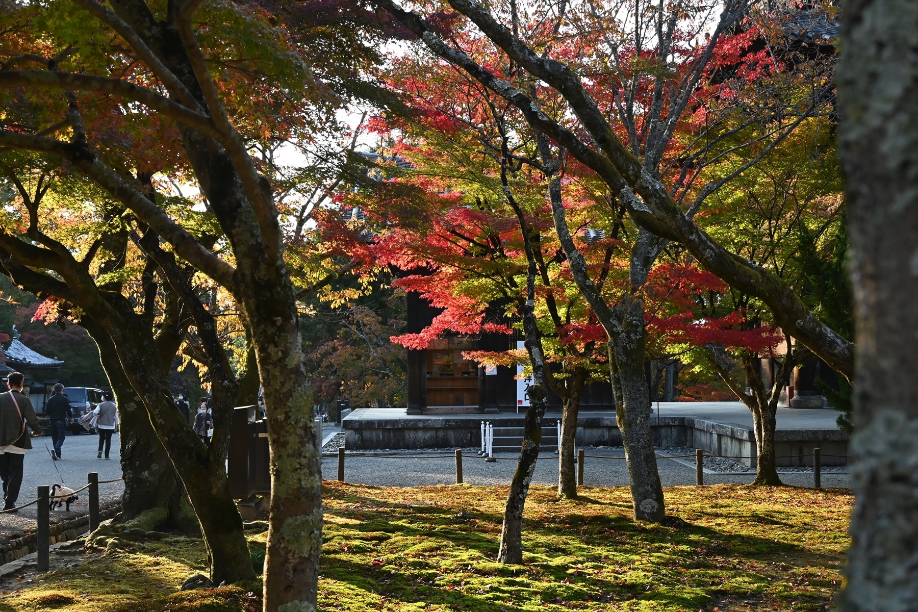 南禅寺049.JPG