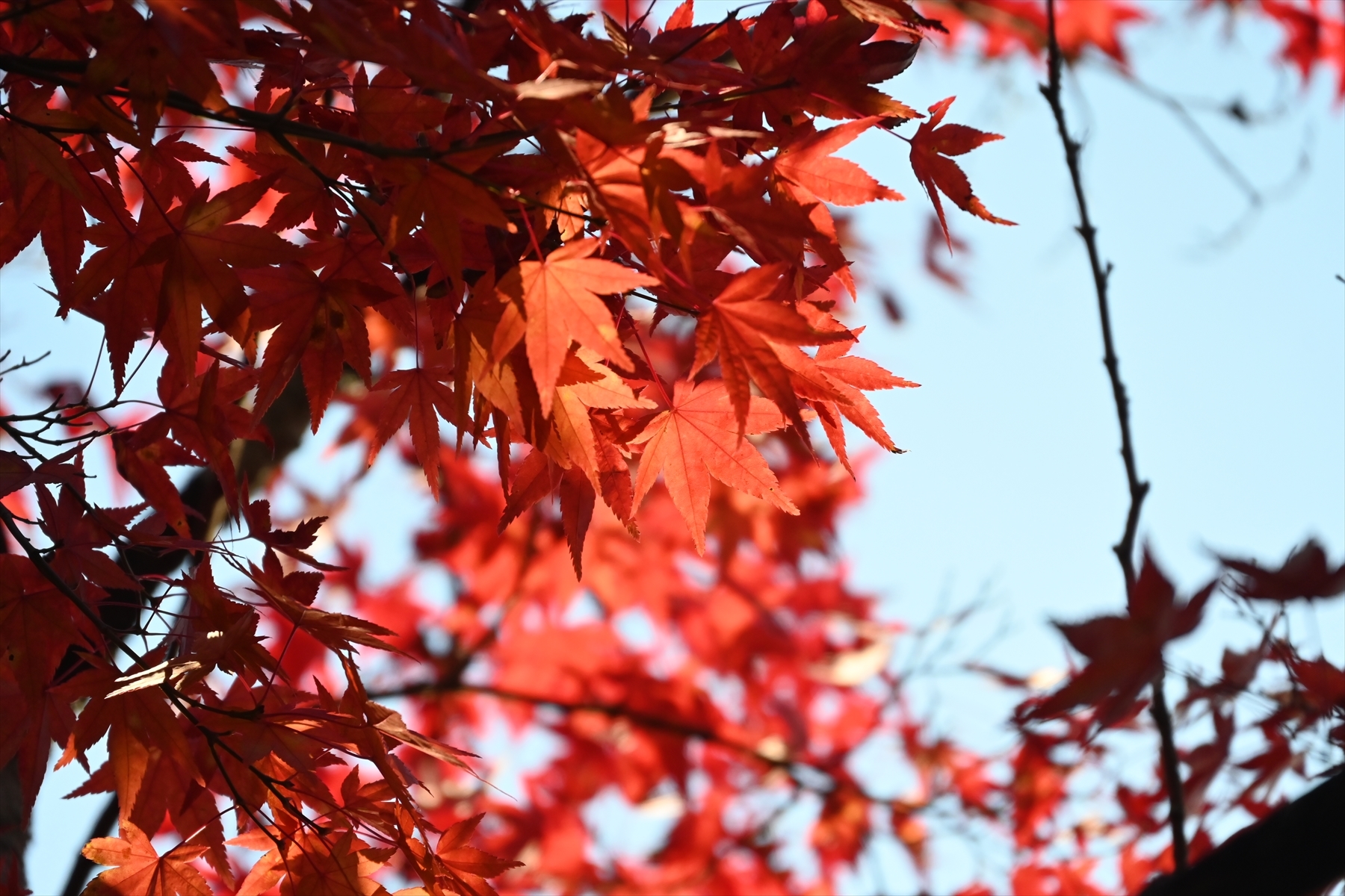 南禅寺041.JPG