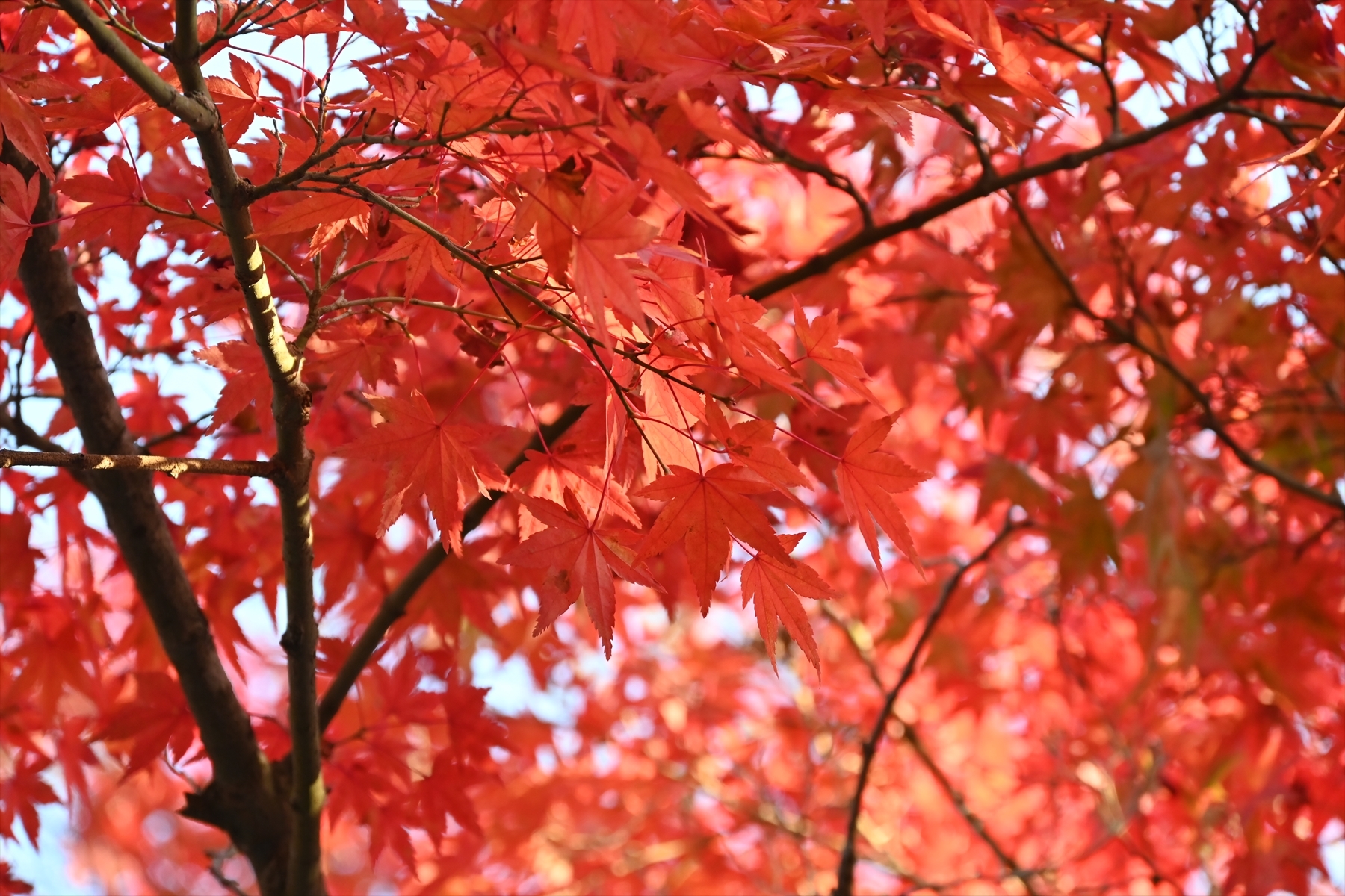 南禅寺040.JPG