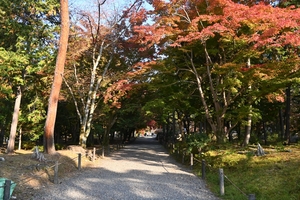 南禅寺034.JPG